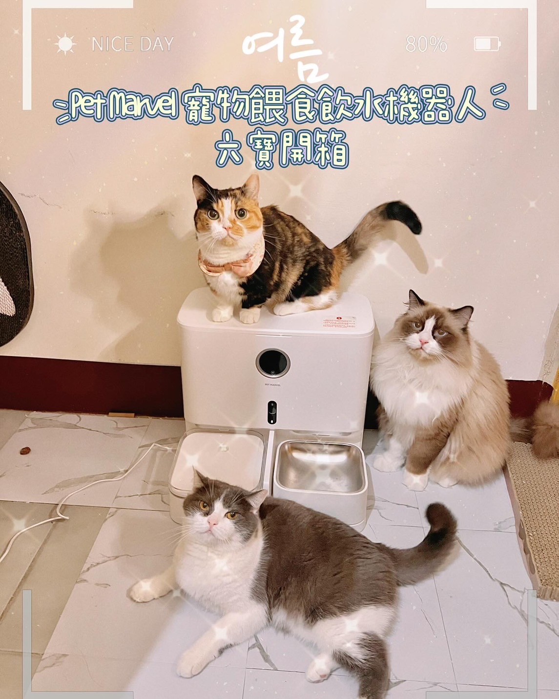 𝗣𝗲𝘁 𝗠𝗮𝗿𝘃𝗲𝗹 寵物餵食飲水機器人
