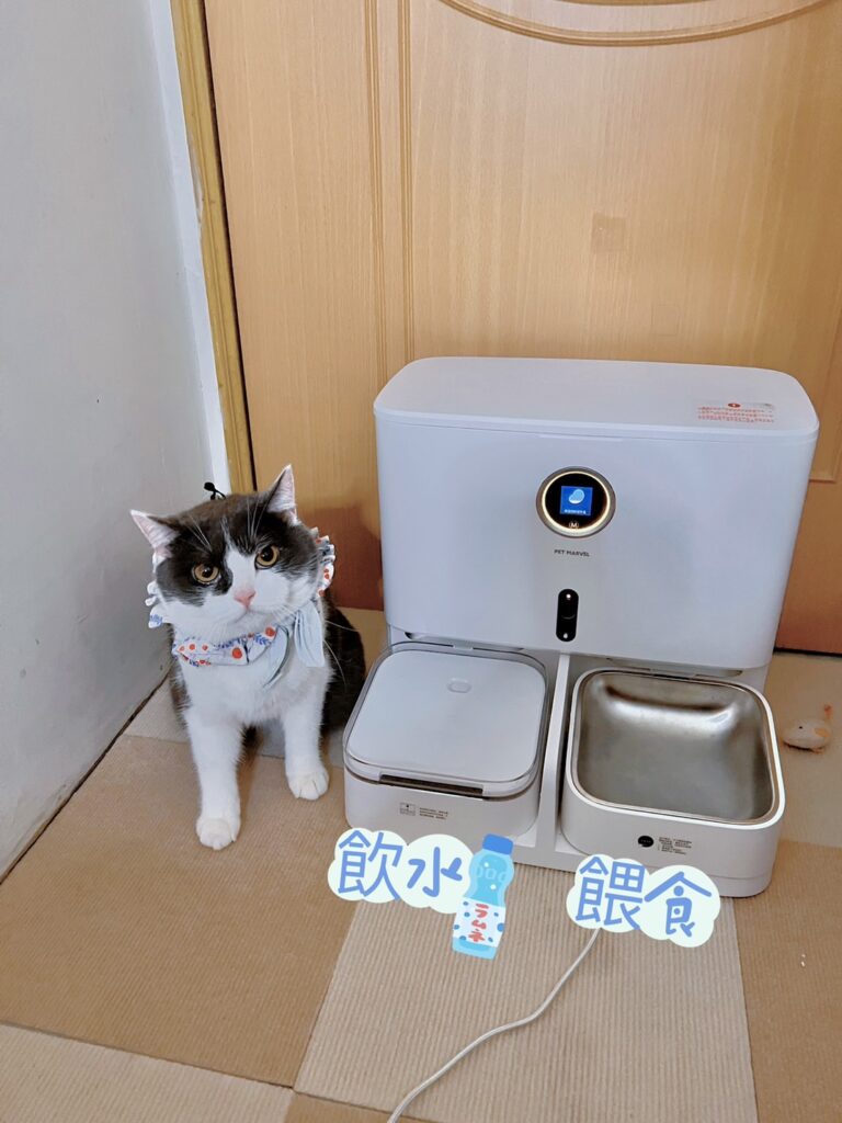 寵物餵食飲水機器人